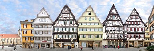 Tübingen | Kirchgasse, south side of the collegiate church by Panorama Streetline