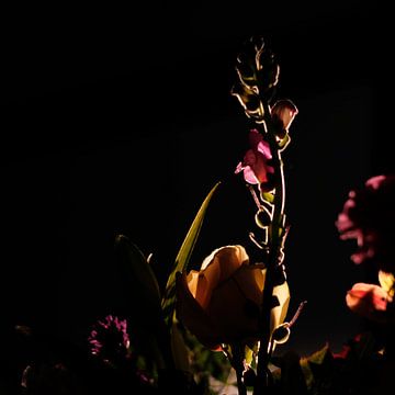 Dark Flowers van Sense Photography