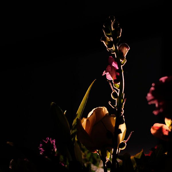 Dunkle Blumen von Sense Photography