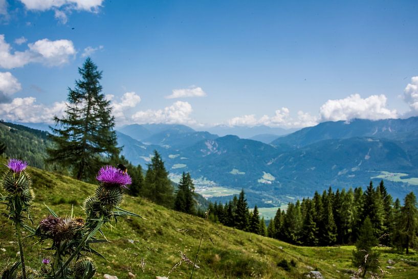 Alpentreffen von Beeldspraak