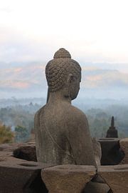 The morning by Siedse Jan Photography