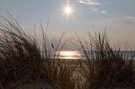 Düne, Strand, Sonne und Meer von Miranda van Hulst Miniaturansicht