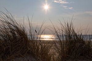 Düne, Strand, Sonne und Meer