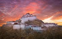 Fort Gyantse bij avond, Tibet van Rietje Bulthuis thumbnail