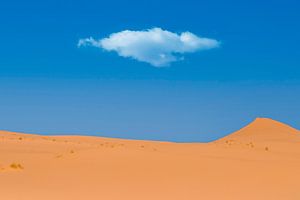 Desert