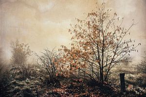 Norddeutsche Landschaft
