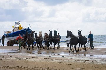 Paardenreddingsboot op Ameland van Marjan Noteboom