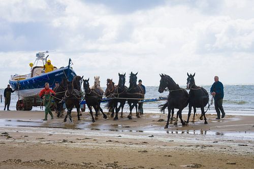 Paardenreddingsboot op Ameland