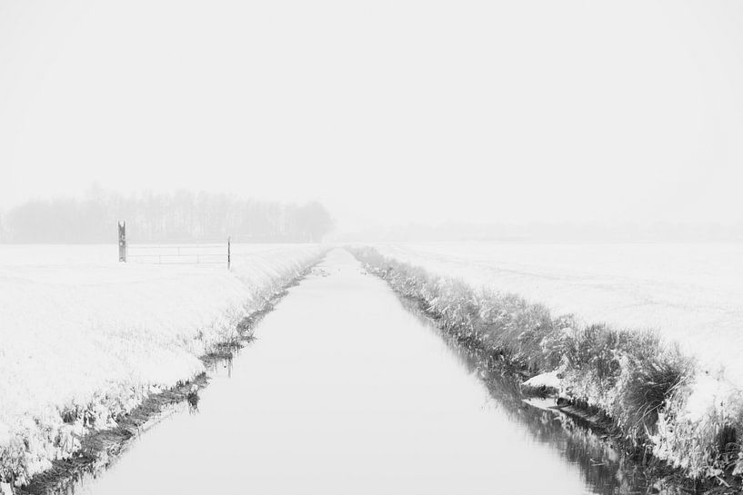 Fossé d'hiver. par Anita Lammersma