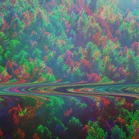 Bos bovenaanzicht Glitch Art van Jonathan Schöps | UNDARSTELLBAR
