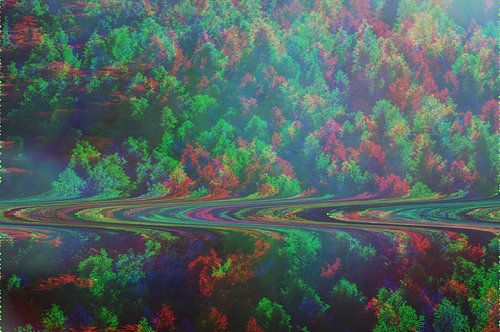Forest top view glitch art