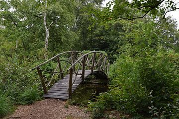 Sprookjesachtig houten bruggetje over een klein watertje in een natuur wandelgebied van Robin Verhoef