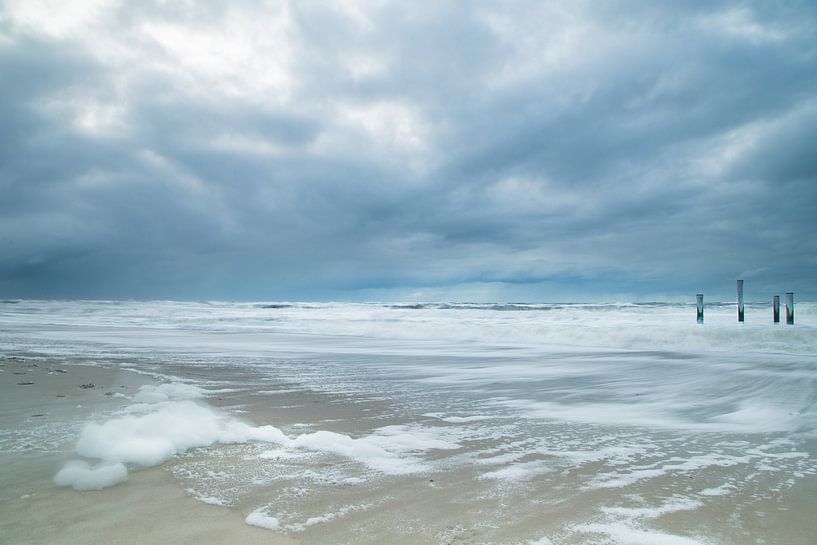 Sea foam Palendorp Petten by Perspective