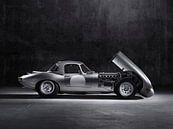 Jaguar E-Type sportscar von Atelier Liesjes Miniaturansicht