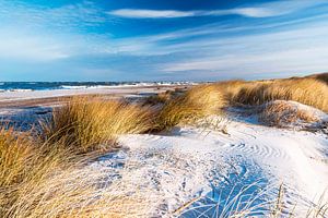 La côte de la mer Baltique et le paysage de dunes du Darß sur Sascha Kilmer