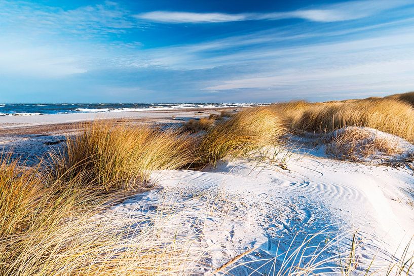 Oostzeekust en duinlandschap aan de Darß van Sascha Kilmer