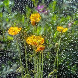 Bloemen achter glas van Thomas Riess