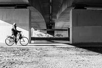 Serie Radfahrer 7