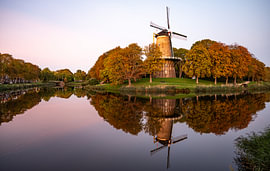 Die Windmühle „De Hoop“, die sich im Abendlicht spiegelt von Werner Lerooy