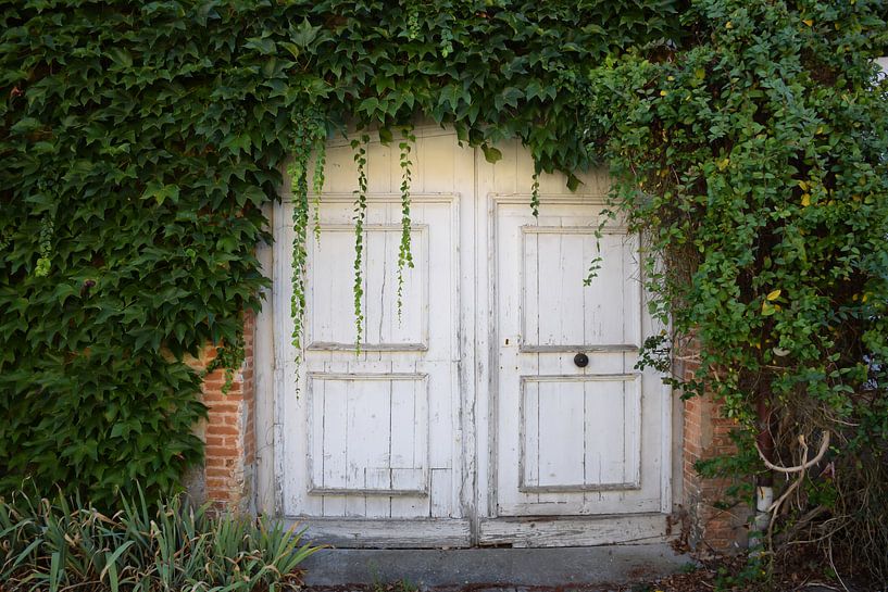 Making an entrance by Ingrid de Vos - Boom