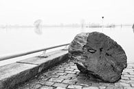 Hoogwater aan de IJssel by Lysanne Artcrafx thumbnail