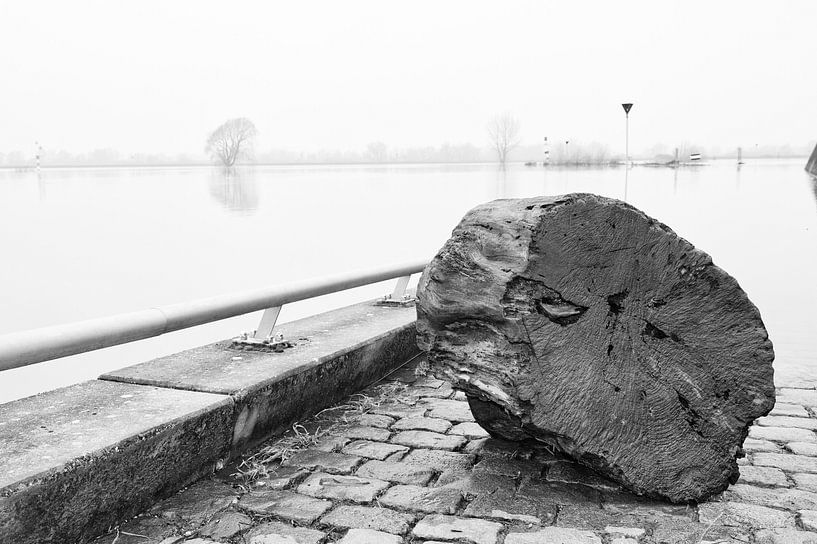 Hoogwater aan de IJssel by Lysanne Artcrafx