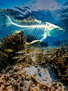 RoboFish