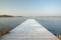 Winter wonderland by Ron van der Meer thumbnail