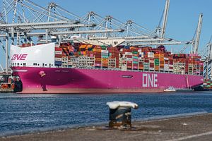 Das Containerschiff ONE Trust.