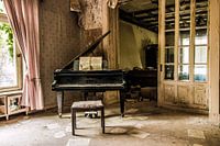 Playing the piano?
