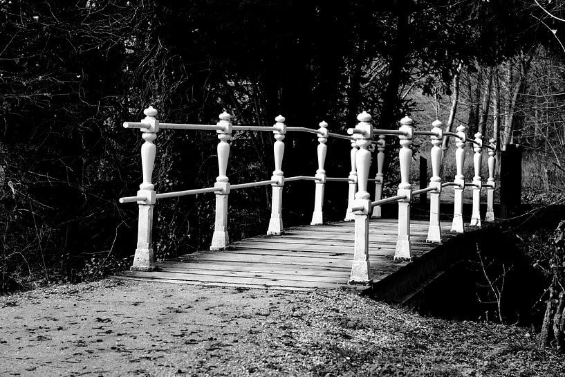 Prachtige brug by Joyce Pals