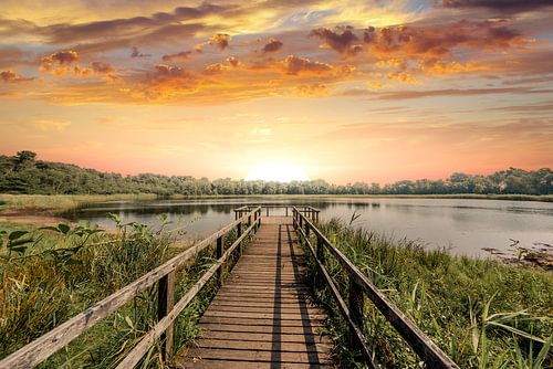 Zonsopkomst bij het Rozenven in Roosendaal