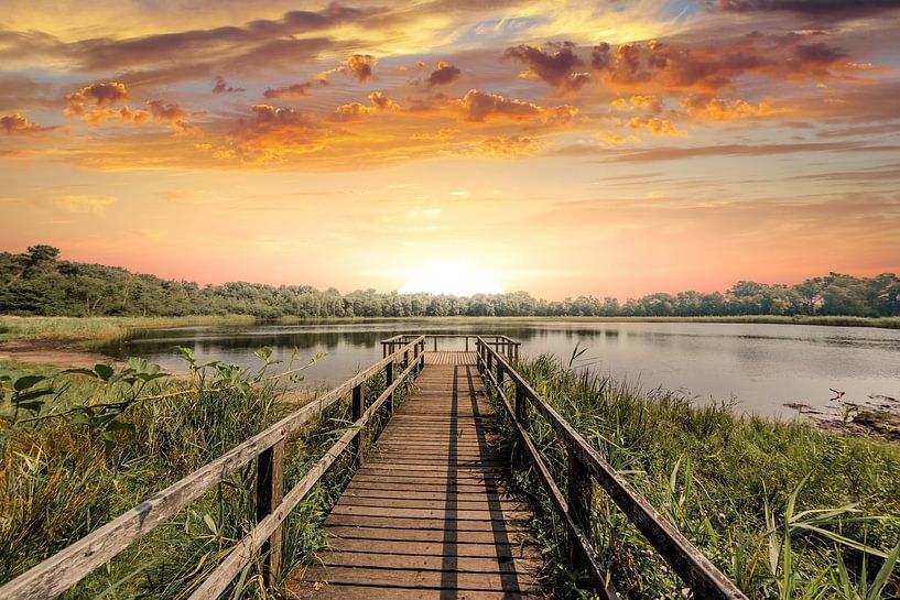 Zonsopkomst bij het Rozenven in Roosendaal van Fotografie Jeronimo