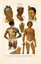 Pädagogischer Ausmalbogen Tattoos von Studio Wunderkammer