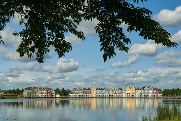 Coloured houses at Rietplas, blue sky with clouds by Ad Jekel