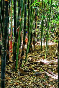 Bambus im Jardin Majorelle Marrakesch 3