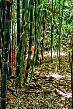 Bamboe in Jardin Majorelle Marrakesh 3 van Dorothy Berry-Lound