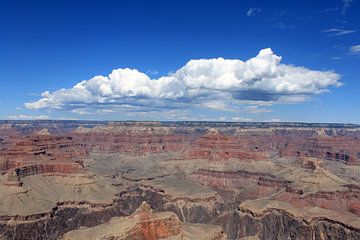 Grand Canyon van Lisa Poelstra
