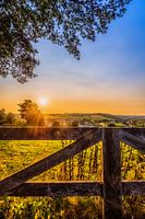 Beautiful Sunset