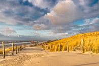 Petten aan Zee strandopgang van jaapFoto thumbnail