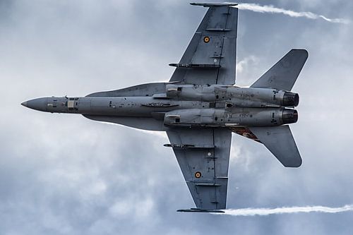 Superhornet