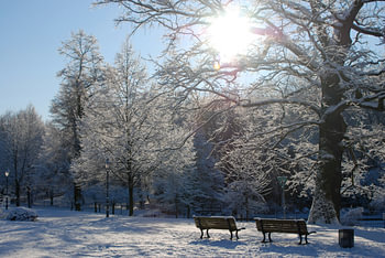 Park Berlijn