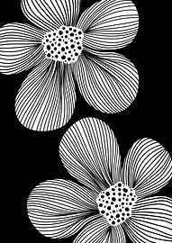 Blossom lines by Bainai