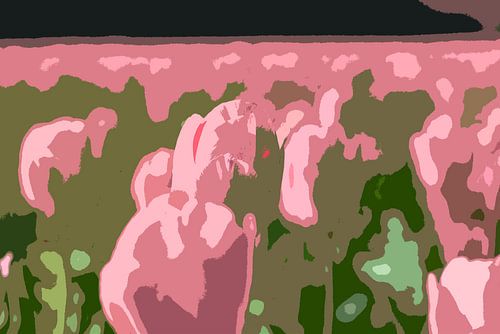 gestileerde rose tulpen