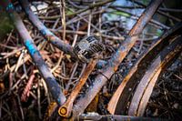 Rusty bike parts in the sunlight