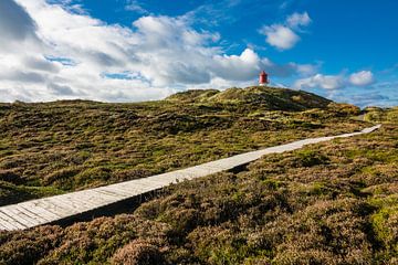 Landscape with lighthouse and dunes on the North Sea island Amrum van Rico Ködder