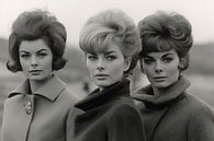 Portrait "Meet me in the sixties" by Studio Allee thumbnail