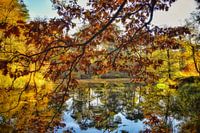 Autumn and reflections