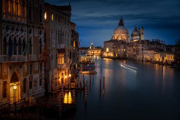 Venice by Tim Kreike