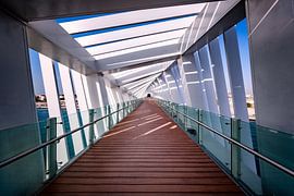 Bridge over Dubai Canal by Rene Siebring